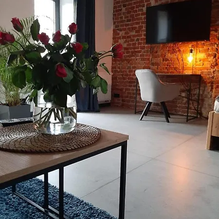 Apartamenty Gliwice Staromiejska 65 Eksteriør bilde